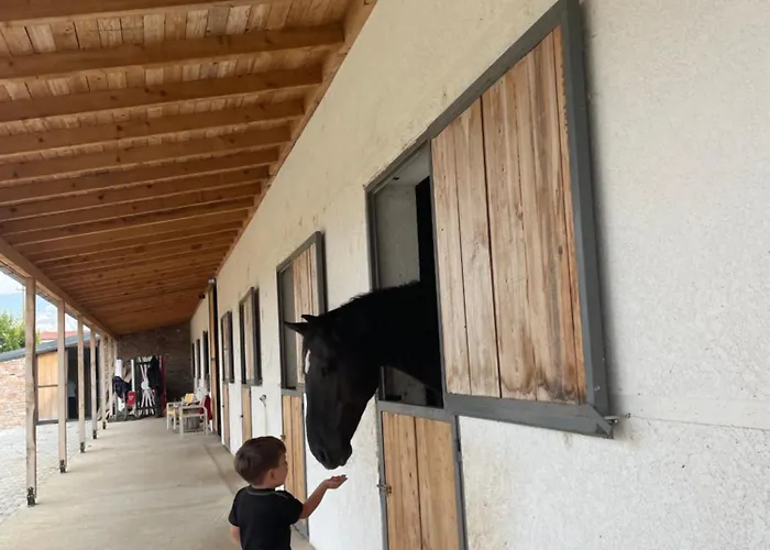 House Of Horses Shtepia E Kuajve