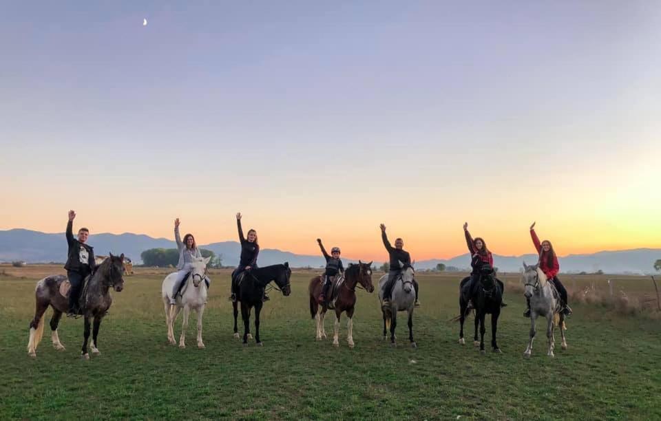 House Of Horses Shtepia E Kuajve Hotel 3*