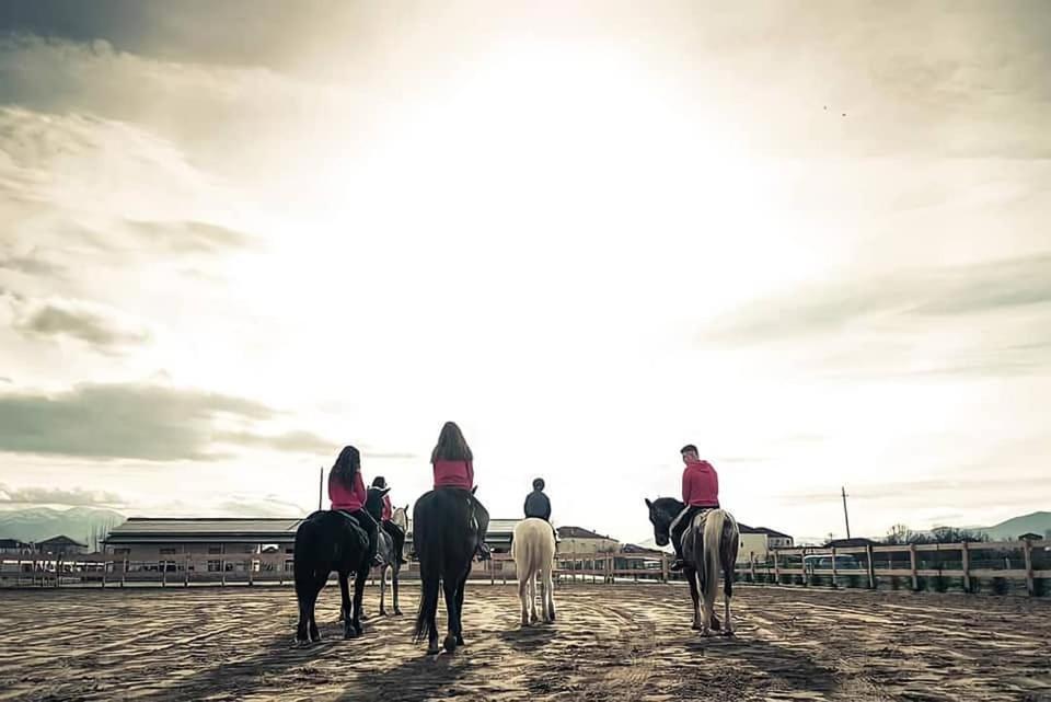 Hotel House Of Horses Shtepia E Kuajve