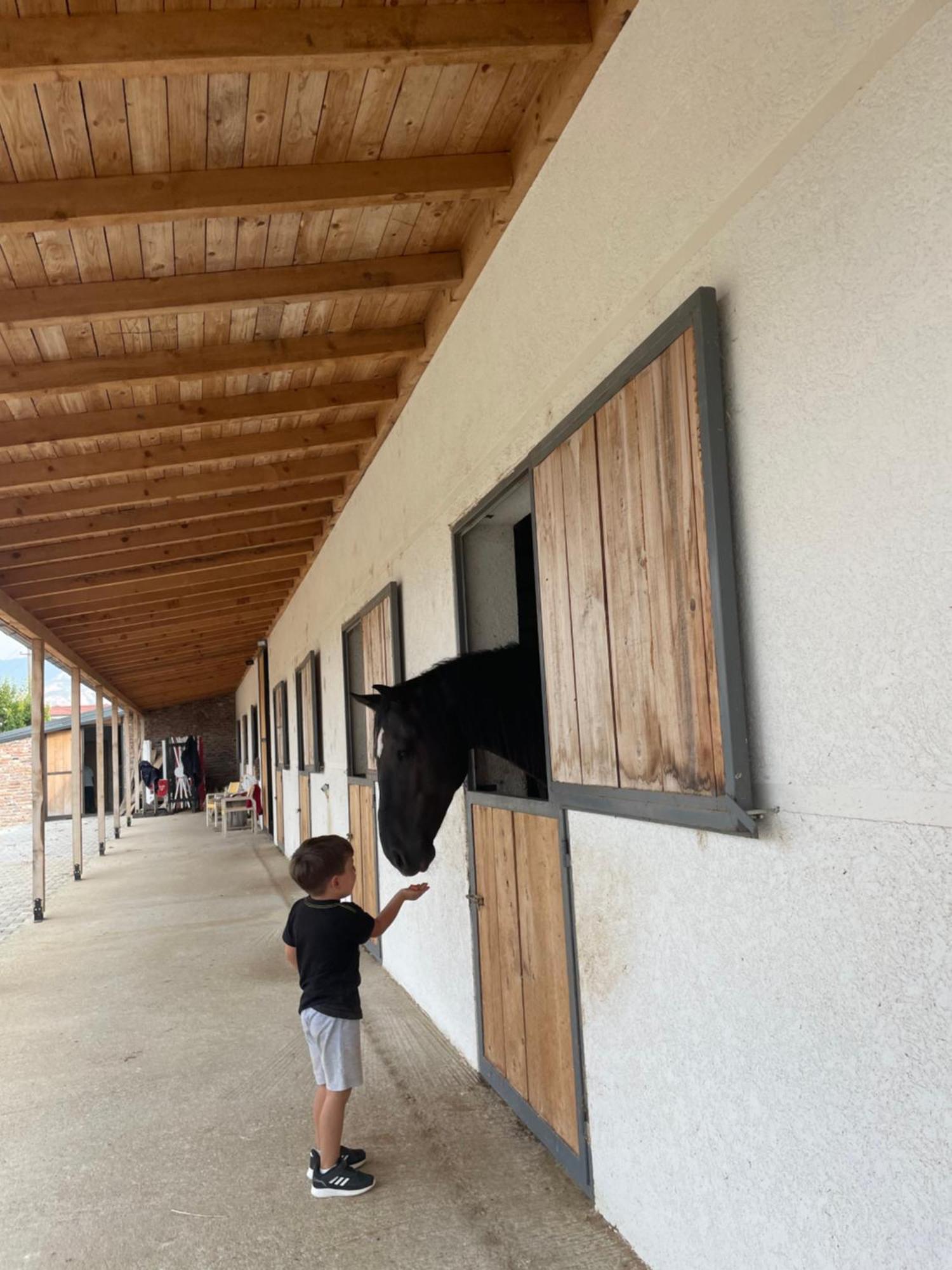 House Of Horses Shtepia E Kuajve Hotel 3*